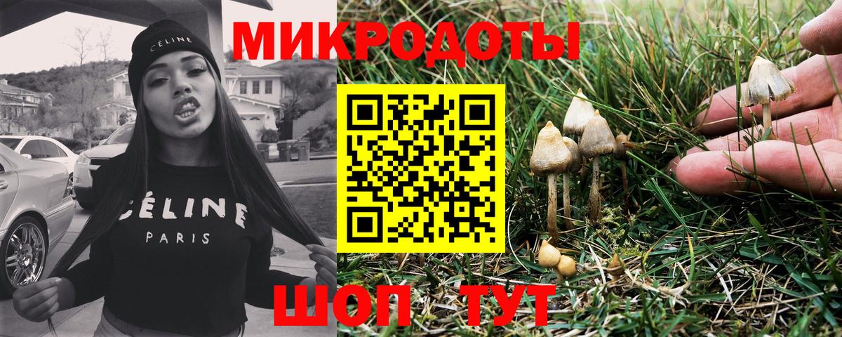 Псилоцибиновые грибы мицелий Люберцы