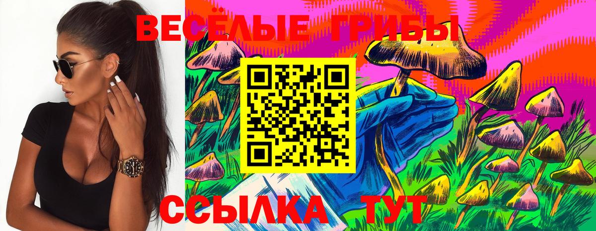 Люберцы  купить наркоту  Псилоцибиновые грибы Magic Shrooms  Вход с VPN  Галлюциногенные грибы Psilocybine cubensis 